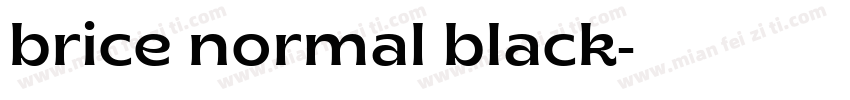brice normal black字体转换